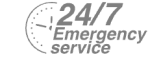 24/7 Emergency Service Pest Control in Chessington, Hook, KT9. Call Now! 020 8166 9746