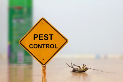 Pest Contol in Chessington, Hook, KT9. Call Now 020 8166 9746